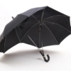 Umbrella Double