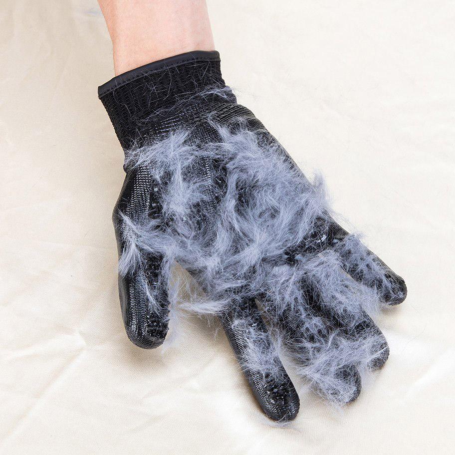 pal-auto-pet-grooming-gloves-pet-grooming-gloves-2609856544884_1000x.progressive.jpg